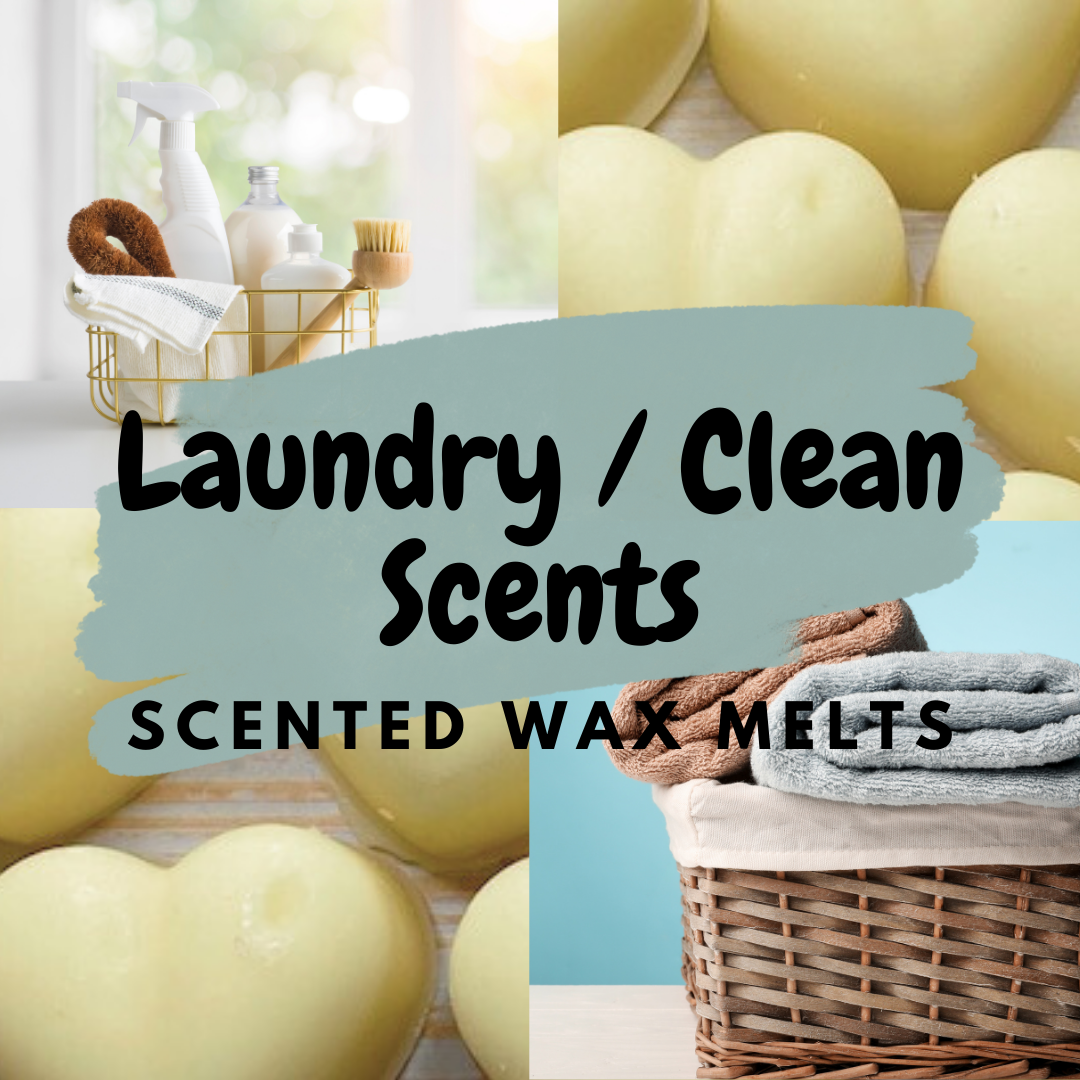 Laundry & Cleaning Scents Wax Melts - TheWaxMouse